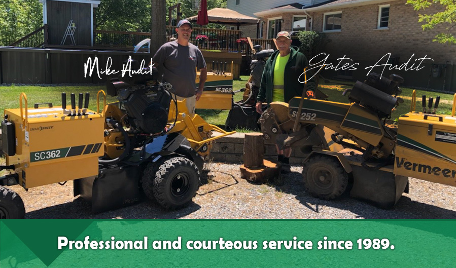 Stump Grinding and Tree Stump Removal