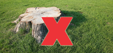 Stump Grinding