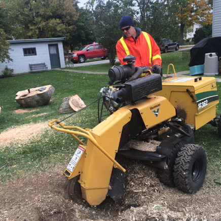 Stump Removal Niagara